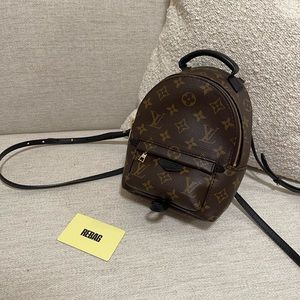 Louis Vuitton Palm Springs Mini Backpack